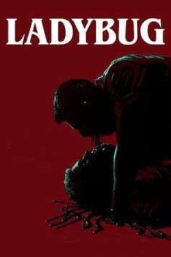 Ladybug (2024)